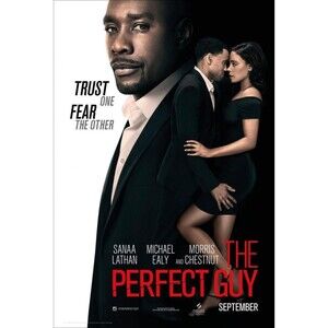 THE PERFECT GUY Movie Poster B ORIGINAL SS 11x17 Michael Ealy THEATRICAL ADVANCE